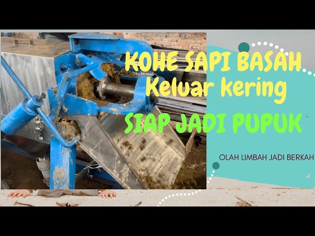 KOHE SAPI BASAH LANGSUNG KERING || MESIN SEPARATOR KOTORAN SAPI || MESIN DEWATERING KOTORAN SAPI