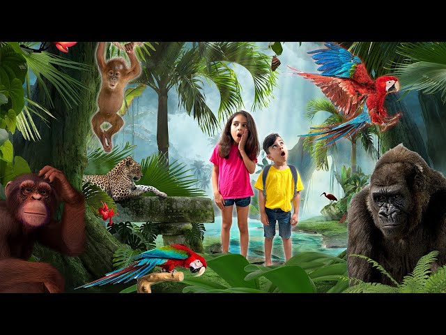 Tropical Wild Animals for Kids | Educational video | Atrin and Soren's Rainforest Animal Adventure