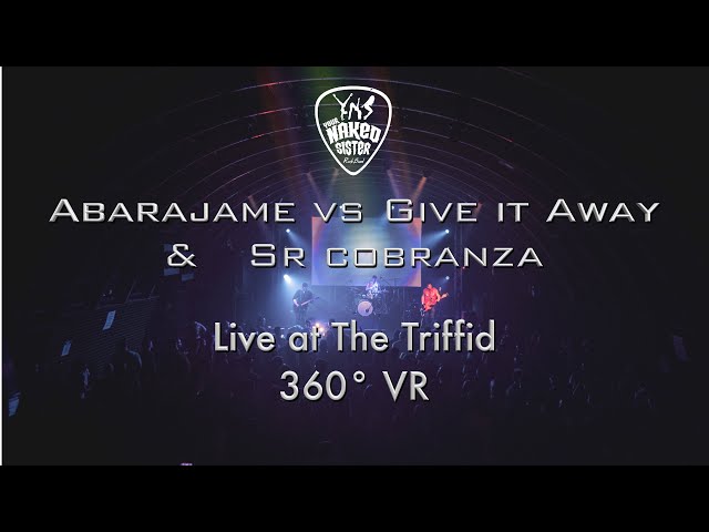 Abarajame vs. Give It Away (Mashup) & Sr Cobranza - Live at The Triffid, Brisbane | 8K 360 VR