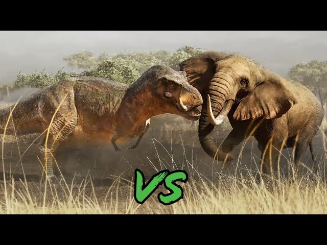 T-Rex vs African Elephant | Animated