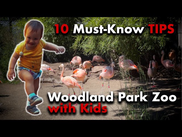 10 Must Know Tips for Visiting Seattle’s Woodland Park Zoo with Kids