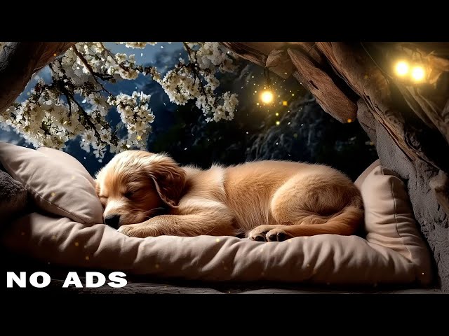 Dog Calming Music 🎶 12-Hour Music for Stress Relief and Comfortable Rest