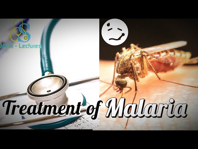 MALARIA | Life Cycle | Treatment | Algorithm | Drug Doses