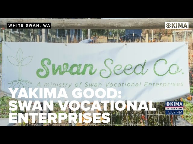 Yakima Good: Swan Graphics