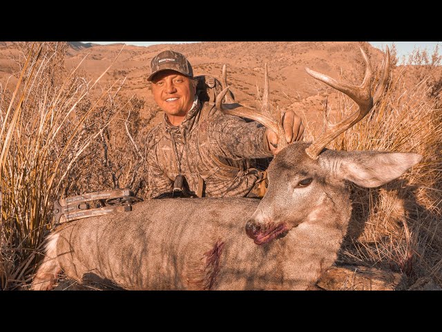 HUGE Coues deer with a BOW!