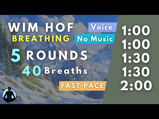 WIM HOF Guided Breathing | 40 Breaths 5 Rounds Fast Pace | Up to 2:00min | No Music