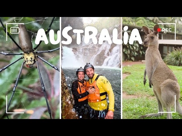 AUSTRALIA BUCKET LIST: Wildlife, Great Barrier Reef & Daintree Rainforest with Tenille & Mike