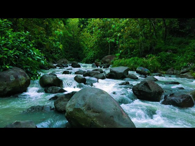 Relaxing Sound Mountain stream flowing, Forest river stream, Flowing water, white noise for sleeping