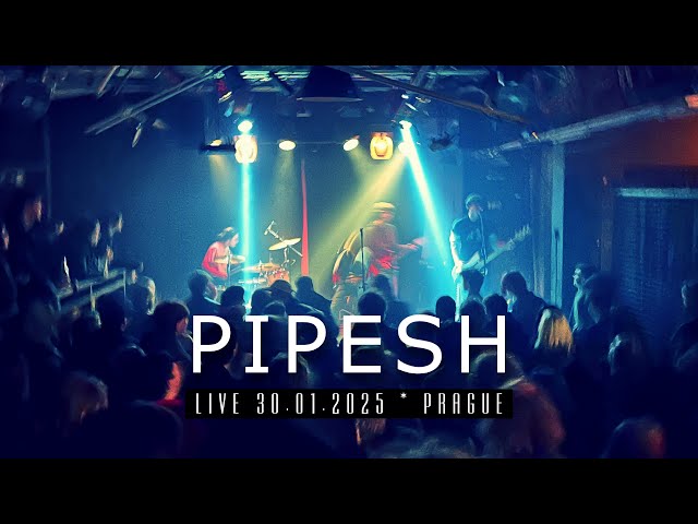 Pipesh - naladapodpsa (Live 30.01.2025, Prague)