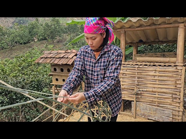 Making nests for chickens, Ly Vy Ca's life after having a new water source