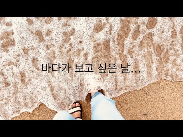 🇰🇷vlogㅣ감성충만 무궁화호 기차타고 ‘동해역’당일치기여행(+인생국밥)