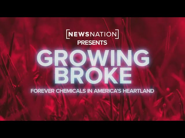 Growing Broke: Forever chemicals tainting food supply, destroying US farms | NewsNation