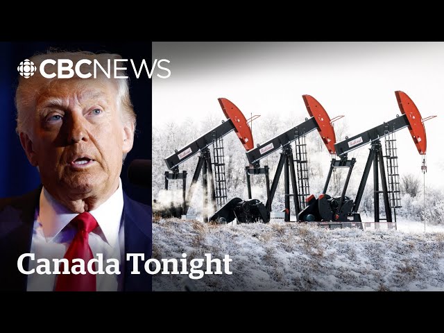 Trump annexing Canada for its resources unlikely: former Alberta minister | Canada Tonight