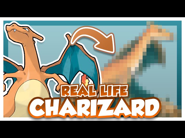 What If CHARIZARD was REAL?