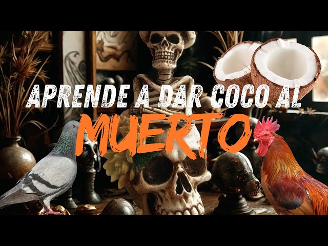 Cómo darle coco al muerto 💀