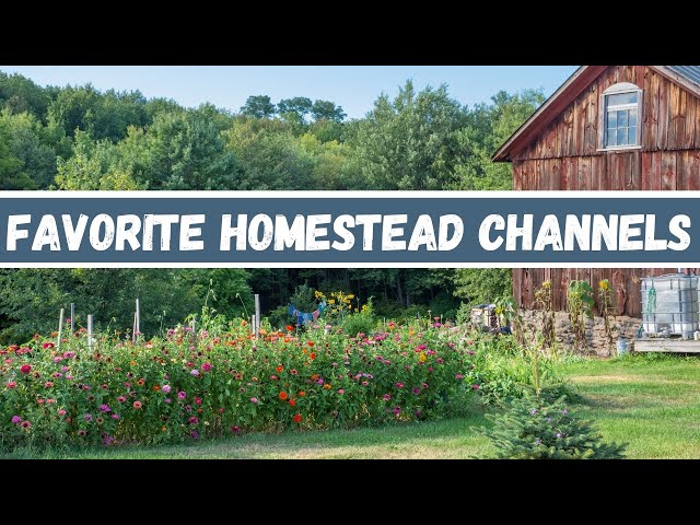 10 Homestead Channels I Like to Watch - 5 Large Channels and 5 Small Ones