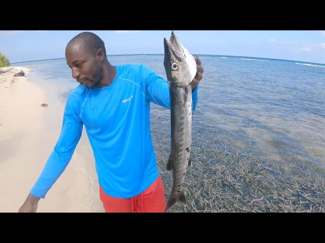 Travel For Fish | Fishing Trip Deadly Barracuda | In Jamaica