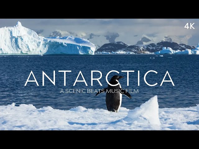 Antarctica 4K: The White Continent - Soothing Music Film #glacier #iceberg