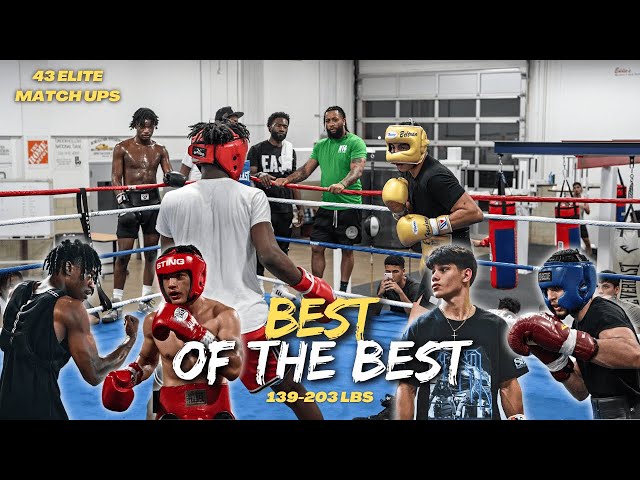 4K SPARRING Of The BEST Boxers In The USA Between 139-203 LBS!