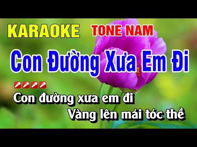 Karaoke Con Đường Xưa Em Đi Tone Nam Nhạc Sống Dễ Hát | Nguyễn Linh