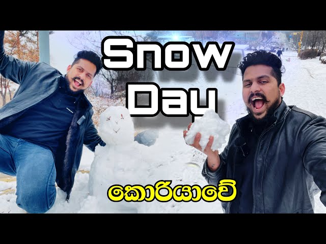 හිම වැටුනා, පිස්සුව තද උනා, පාර පැත්තෙ යං 🇰🇷🥶 | korean life style in snow day #koreansinhala