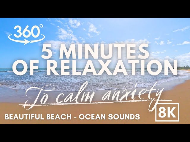 Tropical Beach Relaxation in VR | Calming Music & Ocean Wave Sounds 8K 360°