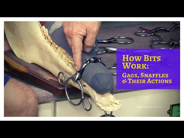 How Bits Work: Gags, Snaffles & Their Actions - (& Why a Skull)