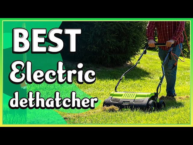 ✅ Best Electric Dethatcher– Excellent & Exclusive Products!