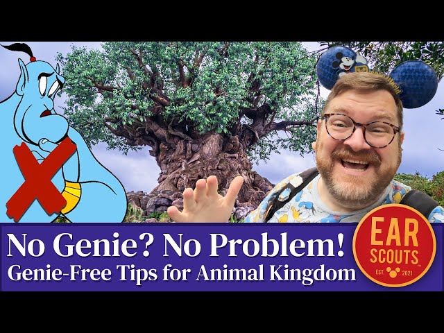 No Genie? No Problem! How to Do Everything at Animal Kingdom Without Fancy Perks at Disney World