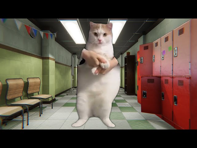 Cat Dancing To EDM In YOUR School 4K