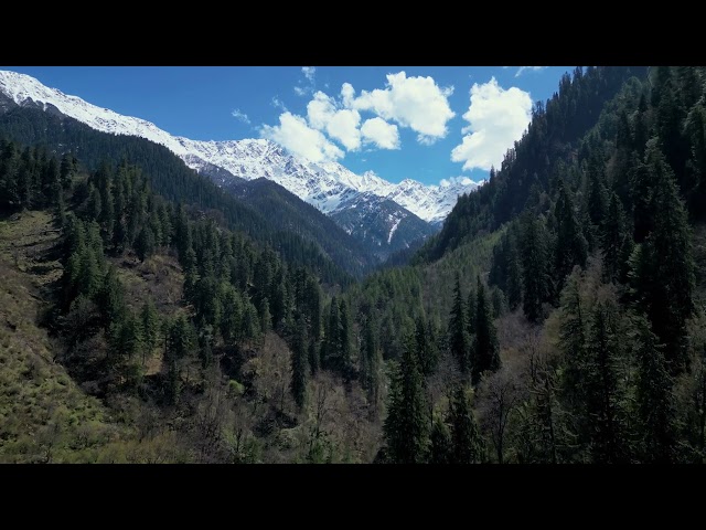 Aerial view of a beautiful landscape of indian himalayas   pine tree forest with snowy mountain