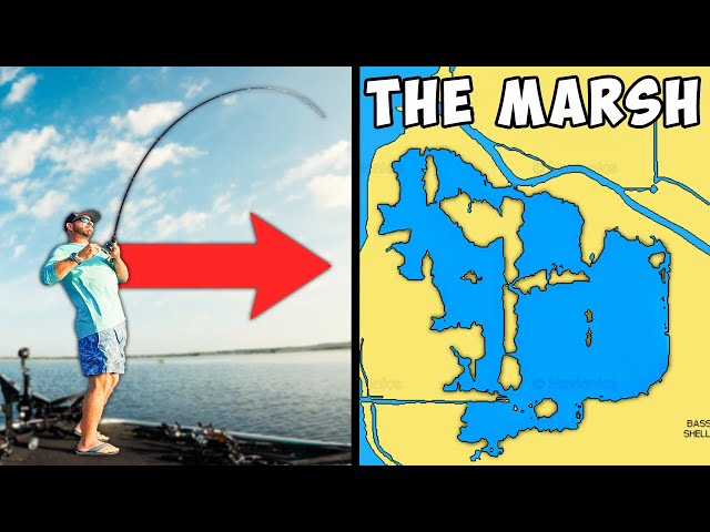 Harris Chain of Lakes Breakdown "THE MARSH"