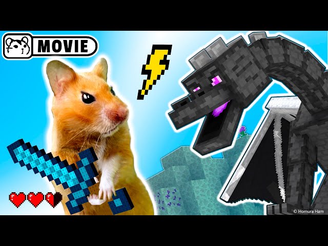 Hamster survival in Minecraft Ep.2 😱 Hamster vs Ender Dragon 😱 Homura Ham