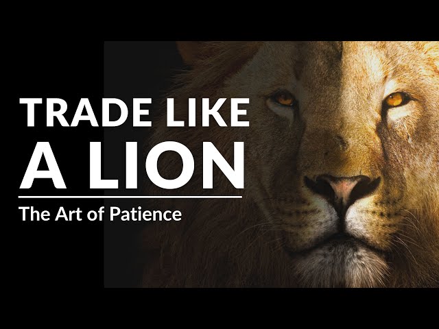 Trade Like a Lion | The Art of Patience ( NO FOMO )