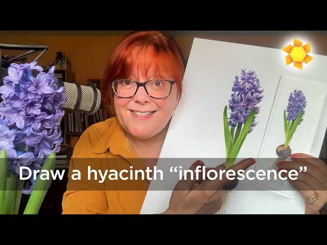 How to draw realistic hyacinth inflorescence in alcohol markers