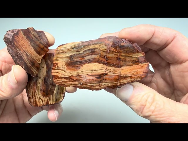 Cut and Polish - Colorful Central Texas Banded Chert