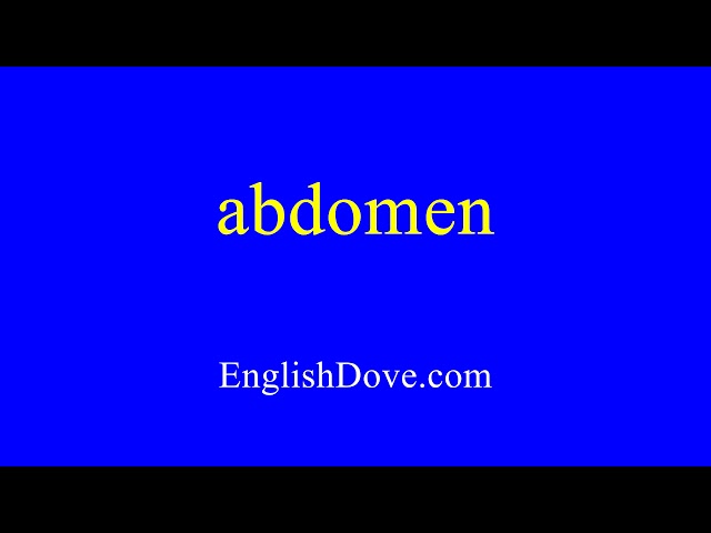 How to pronounce abdomen in American English.