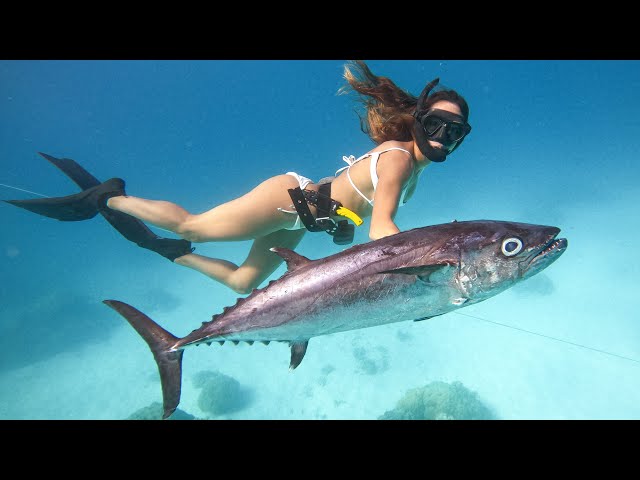 Surviving On Remote Sand Cay (Spearfishing Dogtooth Tuna Catch & Cook) Ep 3