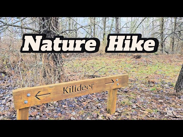 EXTREME Mental Health Benefits of Nature Walks!