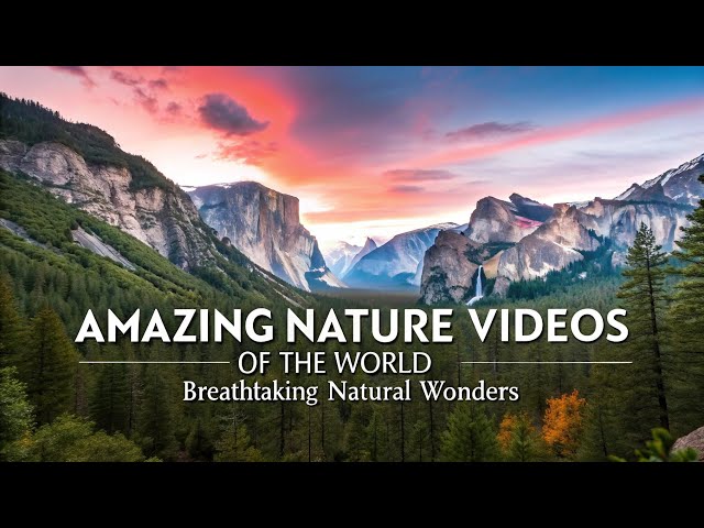 Amazing Nature Videos of the World | Breathtaking Natural Wonders