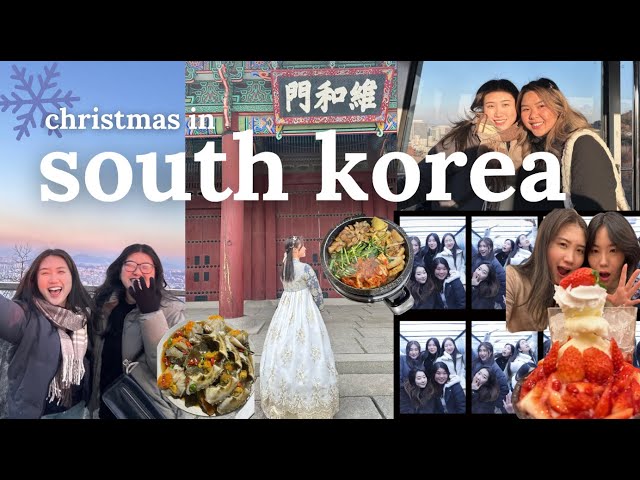 korea vlog | lots of food, personal color, ygx, seoul & busan!