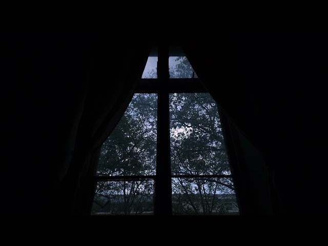 Trees in the Wind | Cosy Window View for Sleep and Relaxation