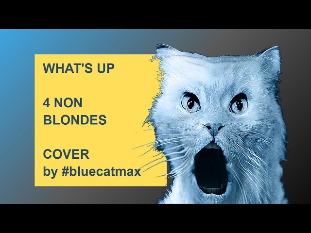 4 Non Blondes -  WHATS UP - A Cappella Cover by #bluecatmax [FUNNY CAT VIDEO]