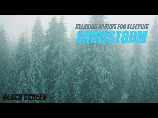 Snowstorm Sounds for Sleeping | Blizzard, Nature Sounds, Relaxing Sounds