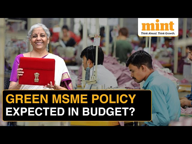 Budget 2025: Govt May Unveil Policy for Greening MSME Operations | All You Need to Know