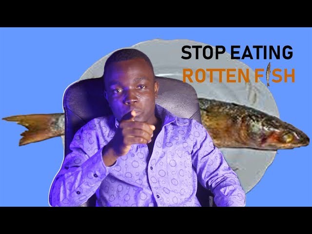 STOP eating rotten fish -WHY SURSTROMMING stinks better than CHINESE FISH in AFRICA