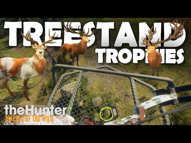 Bow Hunting TROPHY RED DEER From TREESTANDS ONLY!!! - Call of the Wild