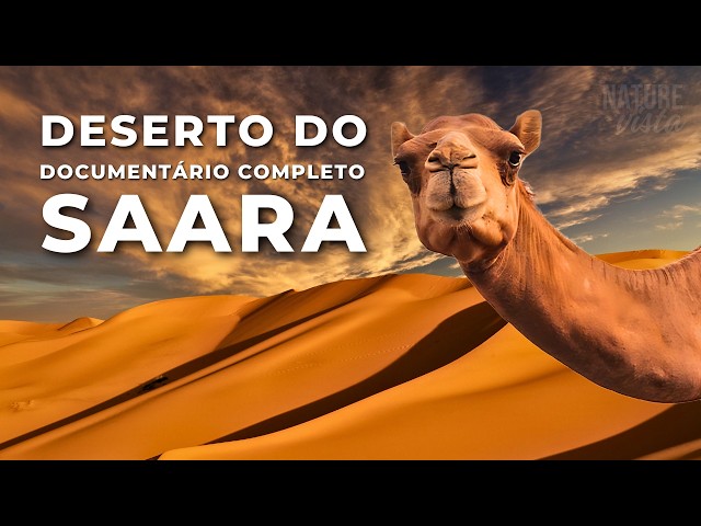 DESERTO DO SAARA | Uma Terra de Extremos - Documentário Completo