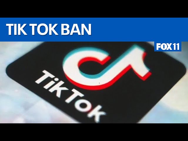 Trump may stop TikTok ban, Biden says he won't enforce