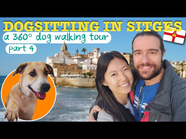 HOUSESITTING in this BEAUTIFUL Fishing Town in Spain - A 360 video dog walk in Sitges